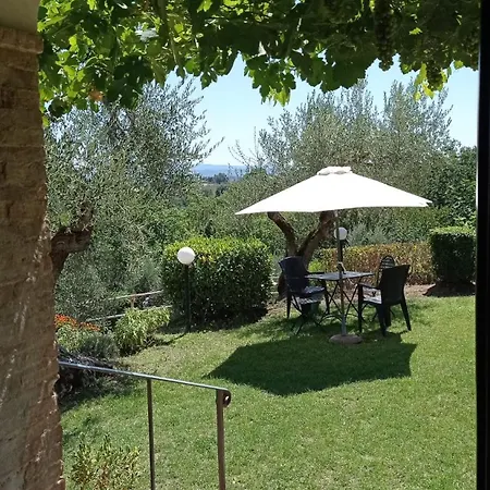La Corte * Четона