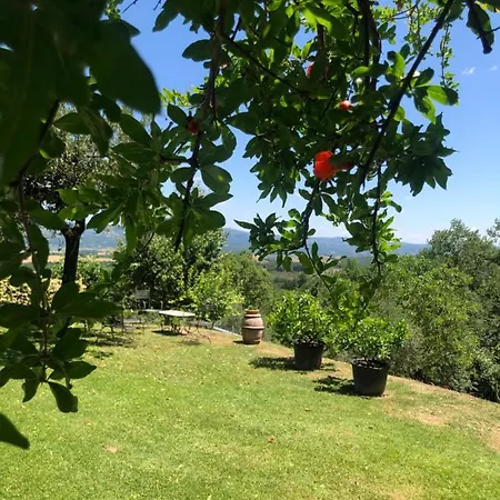 La Corte Cetona Siena *