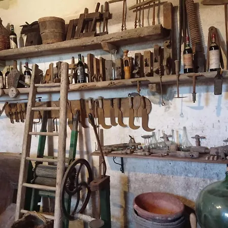 La Corte Cetona Siena Holiday home