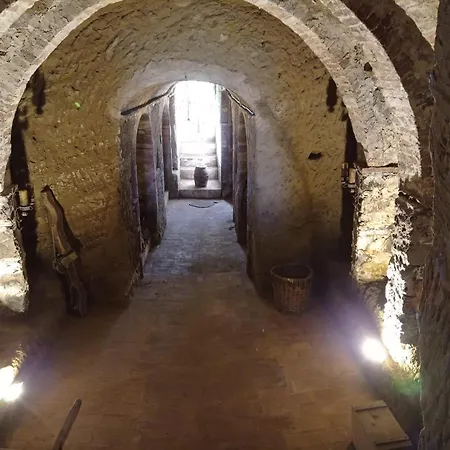 La Corte Cetona Siena Holiday home