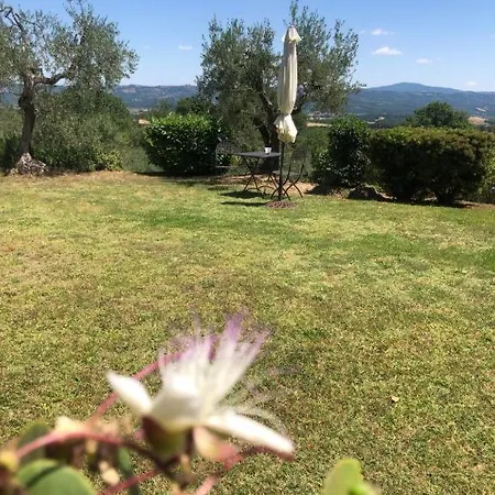 La Corte Cetona Siena Holiday home